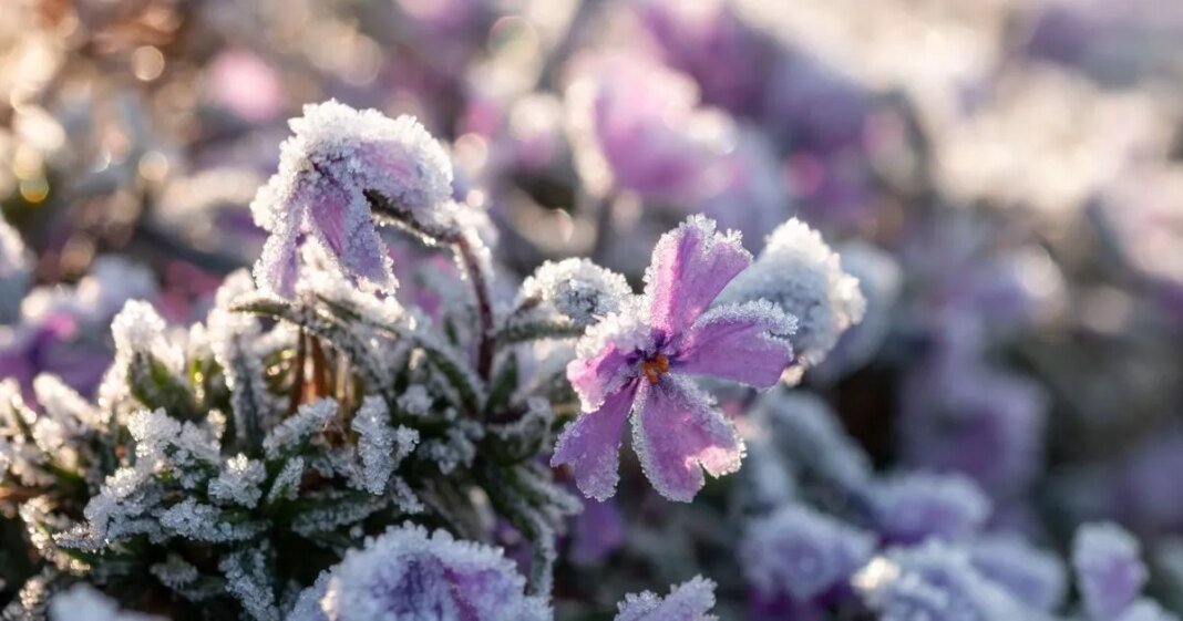 0_new-canva-2025-10-14t154244825